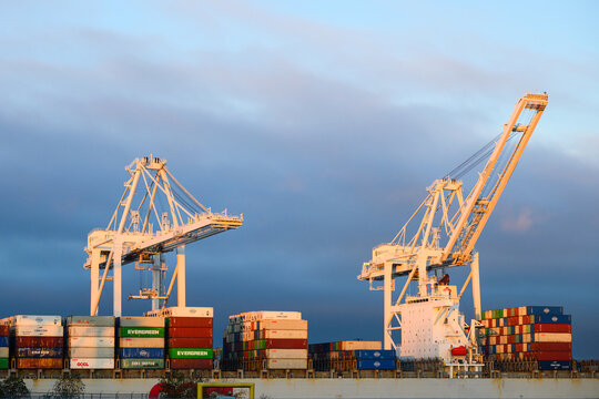 Seattle - December 13, 2025; Two large SSA Terminals industrial cranes working container ship in early morning