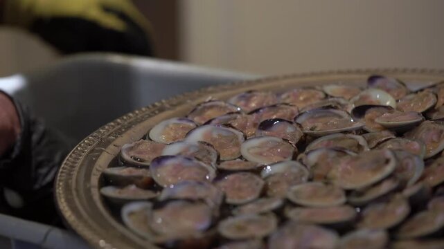 Gloved Hands Plating Abalone Shells On Ornate Tray, CloseUp In Warm Kitchen Light, Careful Motions, Metallic Basin And Sink In Background,