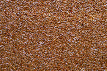 Close up of flex seeds