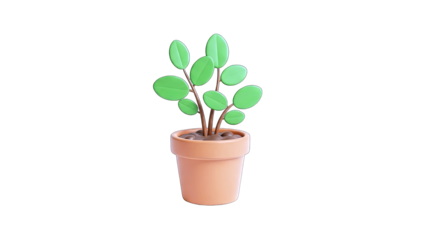 3D Plant in a Pot on White Background