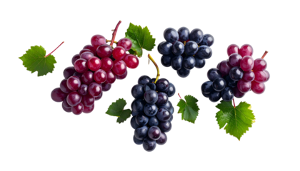 Overhead shot of several grape bunches, varying colors, with green leaves, against black