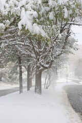rural road in the blizzard 6