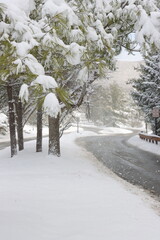 rural street during snow storm