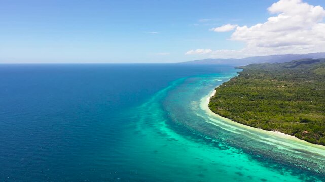 Tropical landscape: island with beautiful beach, palm trees by turquoise water. Bohol, Anda, Philippines. Summer and travel vacation concept.