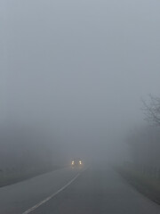 Car driving on rural road during dense fog