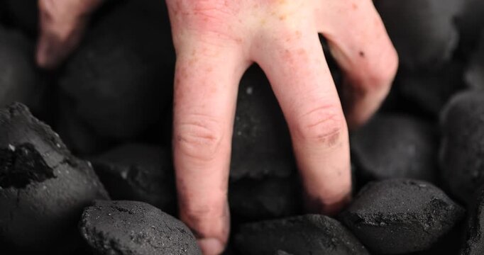take charcoal compressed from crumbs is obtained under pressure and used to light a fire and cook food on the grill, black charcoal in briquettes for barbecues and grills