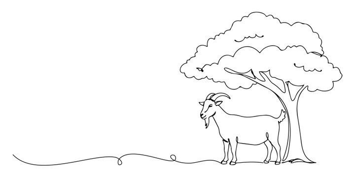 Continuous one line drawing of a goat standing quietly under a tree, which represents the symbol of sacrifice in Eid al-Adha, the Islamic holy days, Eid al-Fitr, Eid al-Adha, line art style vector ill