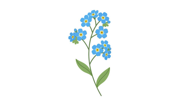 Delicate Blue Forget-Me-Not Flowers on Stem with Green Leaves - Vector Illustration