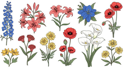 Collection of Various Delicate Flower Vector Illustrations on a White Background