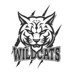 Wildcat design logo vector school team, front face mascot wild cat.