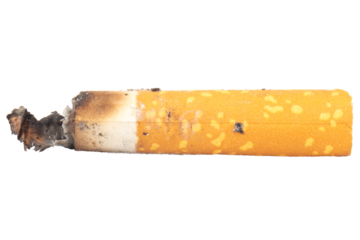 cigarette butts isolated on white background
