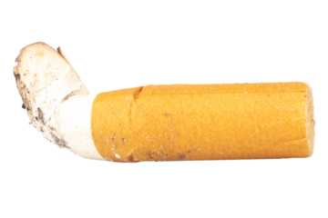 cigarette butts isolated on white background