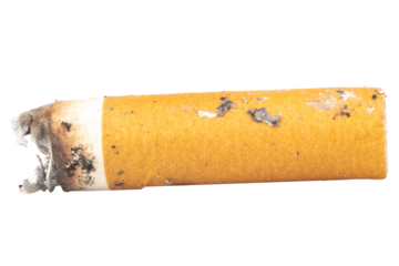 cigarette butts isolated on white background