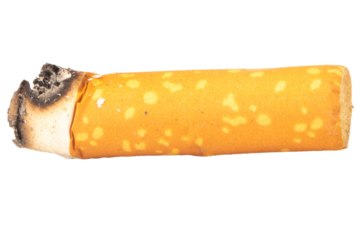 cigarette butts isolated on white background