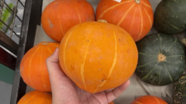 showing orange pumpkins in a box at a supermarket. Hands close up