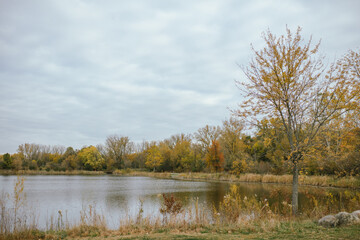 Lake with fall foliage at Oakhurst Forest Preserve, Aurora IL with copy space