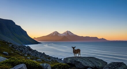 A deer standing on a rocky outcrop overlooking a calm sea with snow-capped mountains in the distance.