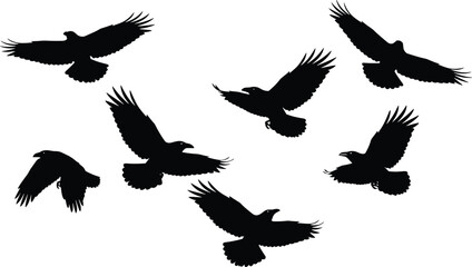 Obraz premium Flying bird silhouettes collection with wings spread in multiple angles isolated black vector icons for wildlife illustration stock design