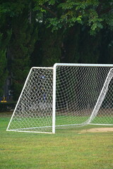 goal of football on green grass background, object of sport