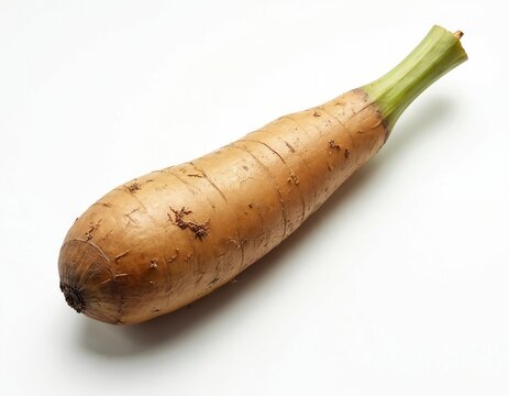 Whole taro root with green sprout and rough brown skin rests on a clean white surface. This starchy tropical tuber is a healthy ingredient for many global cuisines and vegan diets.