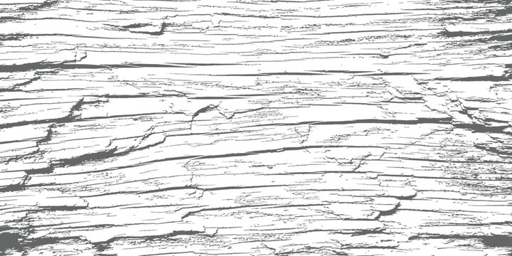 Distressed vector wood texture background abstract grunge gray scale pattern surface overlay