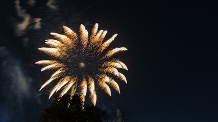 Radiant Golden Firework Bloom Against Night Sky