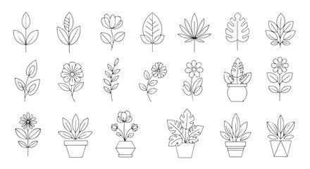 Botanical line art collection with transparent background
