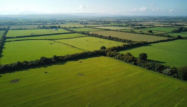 Aerial view of lush green farm fields and pastures in rural Ireland. Patches of trees divide the land. Cattle graze peacefully on sunny day. Remote countryside with gentle hills.