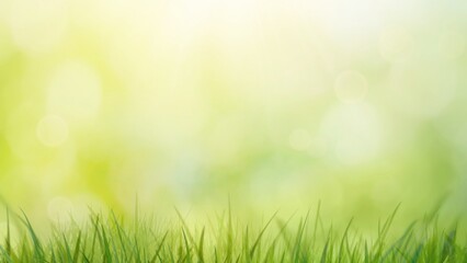 Obraz premium The verdant blades of grass in the foreground, accompanied by a bokeh light in the background