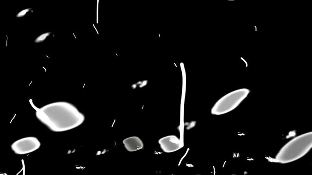 Film Grain Spots. Snow fall winter ice frozen background overlay for your winter projects