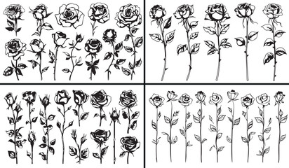 Rose Flower Vector, Floral Line Art Illustration, Botanical Rose Design, Hand Drawn Flower Art, Vintage Floral Sketch, Elegant Rose Outline, Minimal Botanical Vector, Flower Illustration Set, Romantic