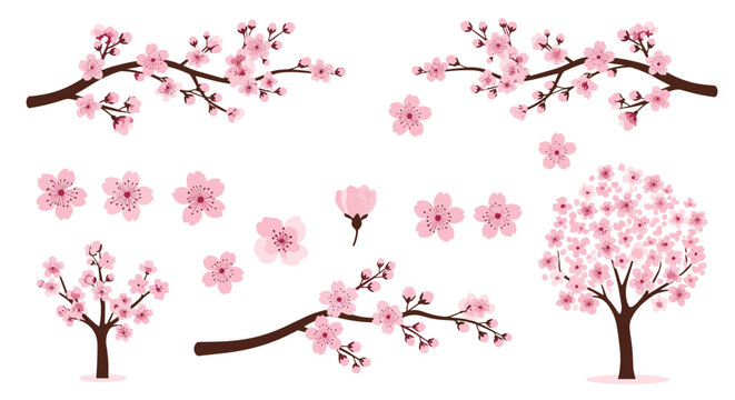 Set of beautiful pink cherry blossom elements, including blooming branches, individual flowers, and full sakura trees for spring designs.