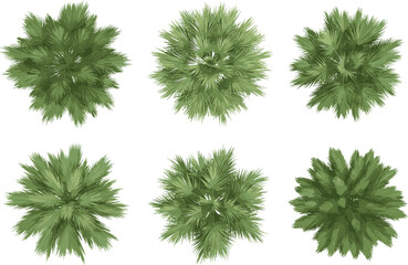 Set of six green palm tree top view icons for landscape design, architectural site planning, garden mapping, and tropical vegetation visualization. © Farzana