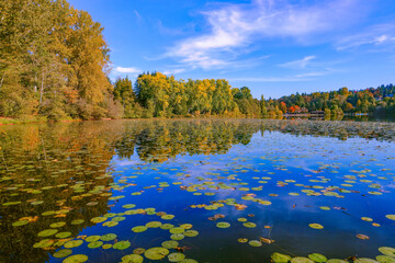Fall colors reflected in a lake at a BC urban park.