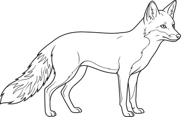 Fox animal line art illustration, wild mammal standing pose, detailed monochrome outline drawing, wildlife nature concept, isolated white background, design