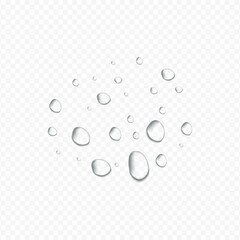 Realistic Water Drop Background with Transparent Droplets, Moisture Condensation, Splash Texture, Dew and Raindrop Effect for Clean Liquid Design