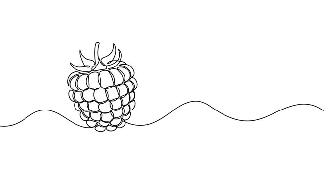 Minimalist single line drawing of a fresh raspberry fruit with wavy lines on a white background