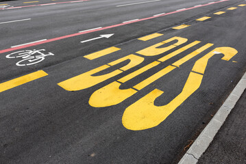 Bicycle lane road marking next to separate bus lane