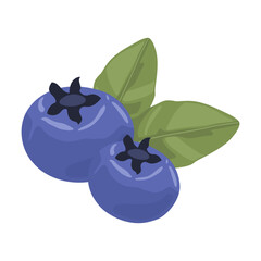 Illustration of Blueberries with Green Leaves