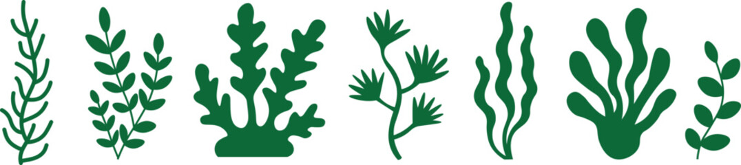 Seaweed and Algae Vector Icons Set. Marine Plants, Underwater Botanical Silhouettes