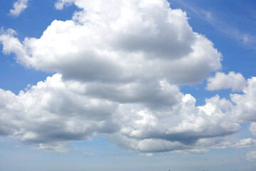 Obraz premium Large dramatic white clouds floating in a bright blue sky. Ideal for weather concepts, nature backgrounds, freedom, atmosphere, and environmental themes.