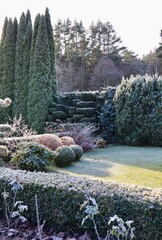 Winter garden design showcasing frosted topiary, green hedges, lawn, and various plants in hoarfrost on a cold day