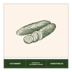 Vector illustration of cucumber