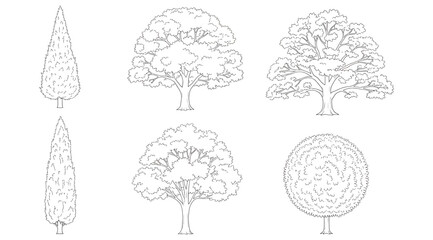 Collection of six line drawings of trees including coniferous, deciduous, and round topiary forms, arranged in two rows, minimal contour illustration for landscape design, botanical study, environment