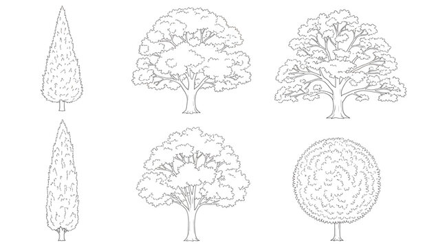 Collection of six line drawings of trees including coniferous, deciduous, and round topiary forms, arranged in two rows, minimal contour illustration for landscape design, botanical study, environment