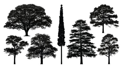 Silhouettes of eight distinct tree types arranged in two rows, showcasing varied canopy shapes and branching structures, symbolizing botanical diversity, landscape design, environmental study, and art © S.Siam