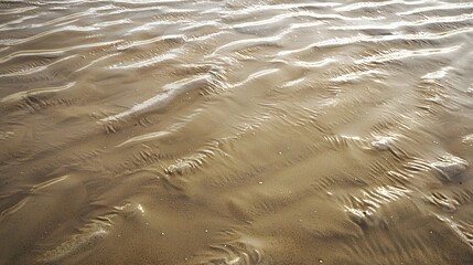 Natural patterns of ripples on a wet sand beach created by low tide, reflecting the sky and light on the glossy textured surface.