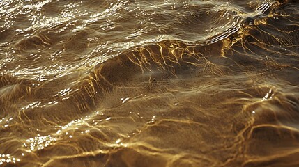 Abstract golden water surface texture with light refraction patterns over sand, depicting fluid motion and bright summer energy.