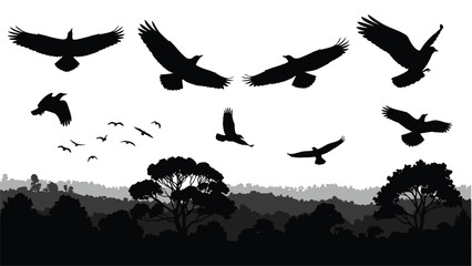 Obraz premium Silhouette of soaring birds above a forest landscape at dusk