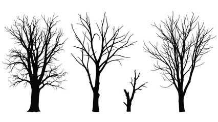 Silhouette of several bare trees against a plain white background